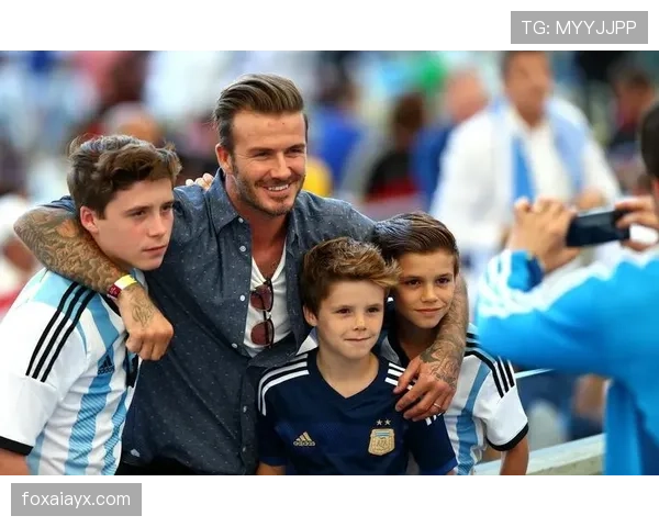 世界杯群星云集，赛事看点与历史传承共谱足坛盛宴