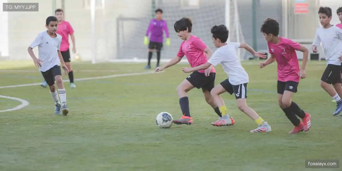 🎯💪 专业装备,助力每一次突破!